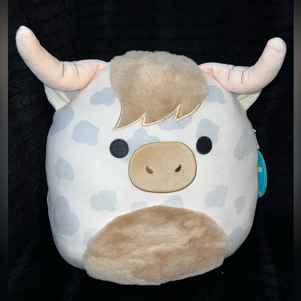Borsa the Highland Cow